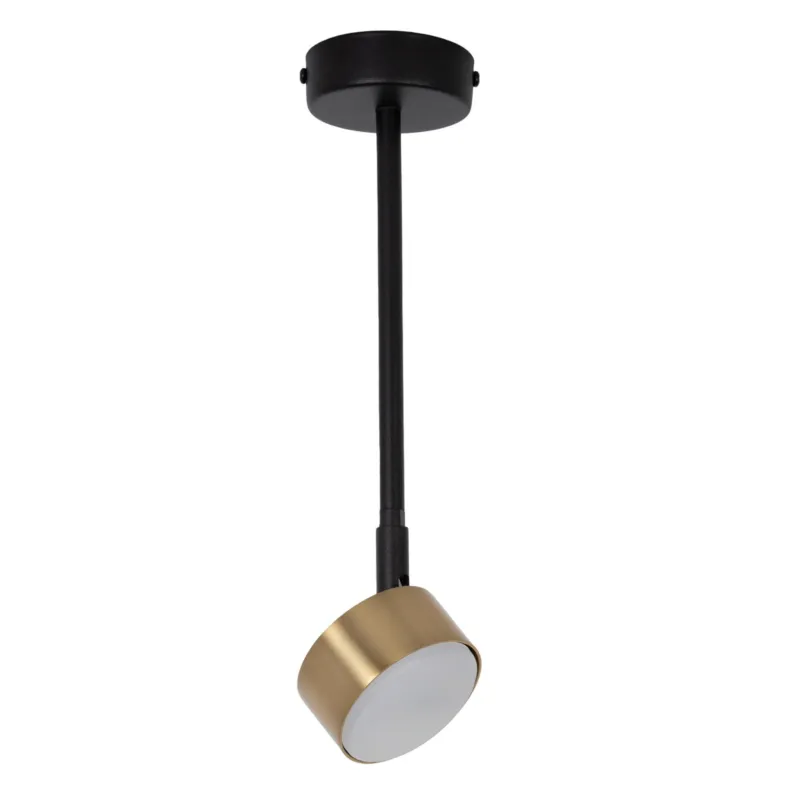 Wyjątkowa oferta NEMO L black-gold I 41086 Sigma