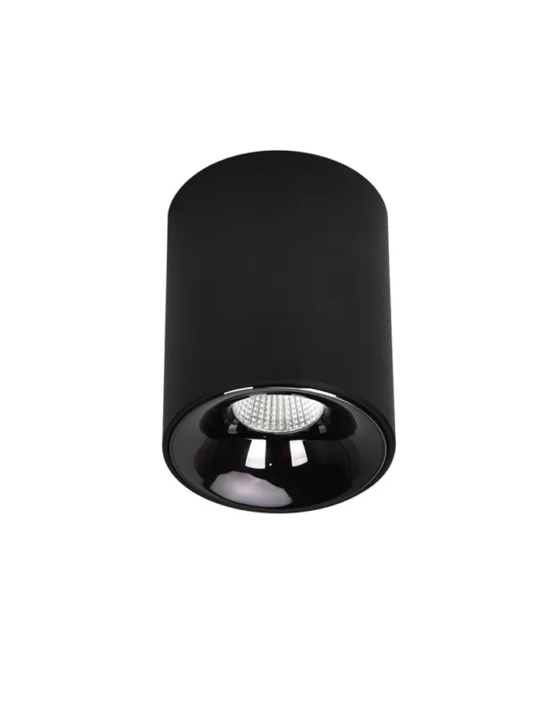 Tylko do końca tygodnia Light Prestige Oprawa natynkowa Tom czarna LED CCT LP-4848/1RM BK