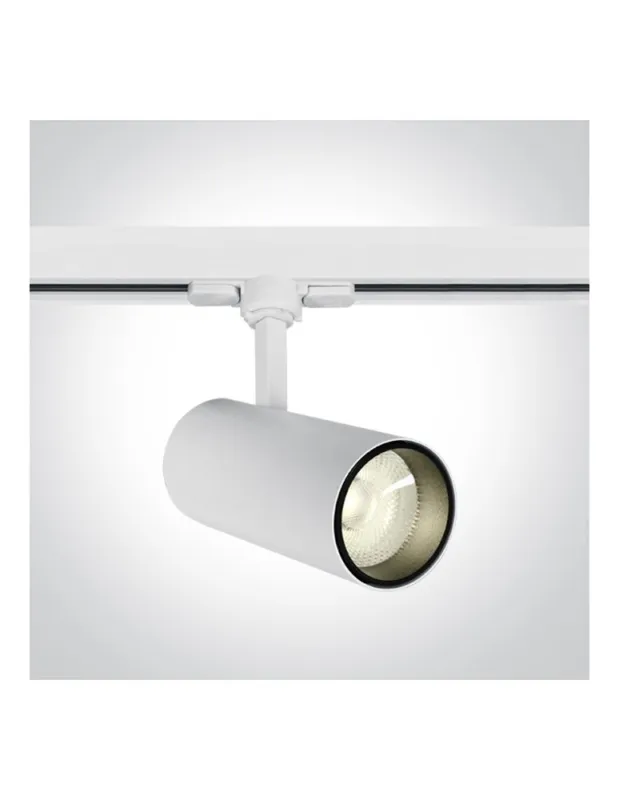 One Light reflektor LED biały na szynę 20W Skalitina 2 65642BT/W/C kolory-swiatla.pl Szybka wysyłka