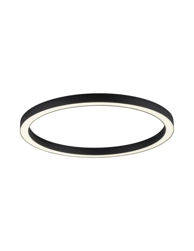 Bezpieczne zakupy Paul Neuhaus Pure-Lines 70cm Sufitowa Z Pilotem Z Regulacją Barwy Światła I Ściemnianiem Antracyt 6306-13 kolory-swiatla.pl