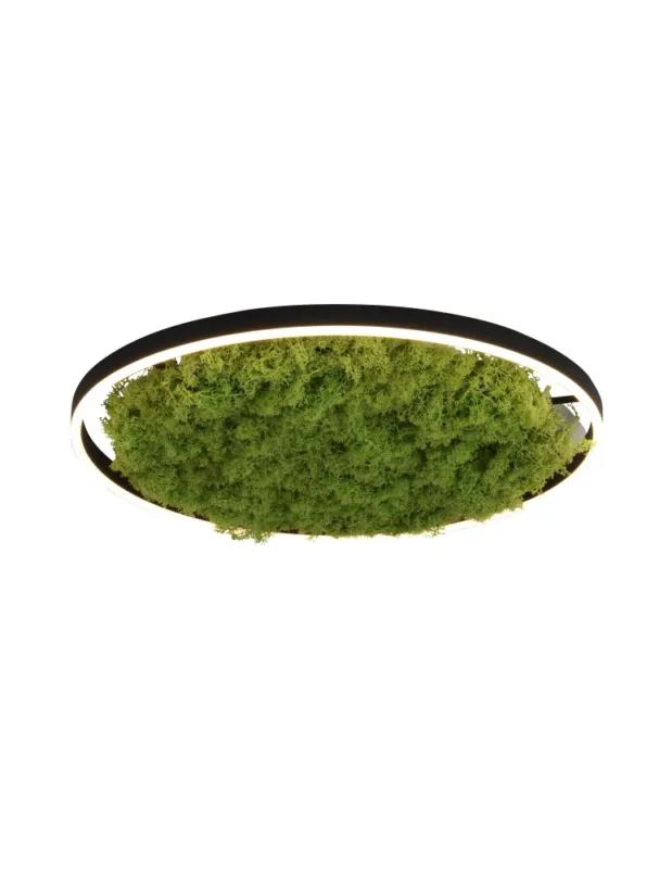 Oferta Leuchten Direkt Green Ritu 58cm Mech Islandzki Ściemniana 3-Stopniowo Zwykłym Włącznikiem 3000K Czarny/Zielony 15392-66 kolory-swiatla.pl