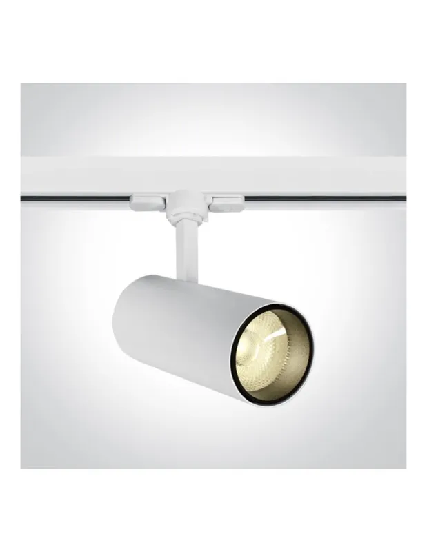 One Light reflektor LED biały na szynę 20W Skalitina 2 65642BT/W/W kolory-swiatla.pl Łatwy zwrot