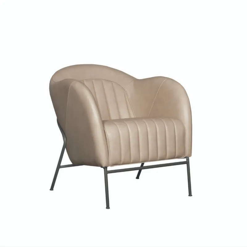 Ekspresowa dostawa Fotel Mini Sits