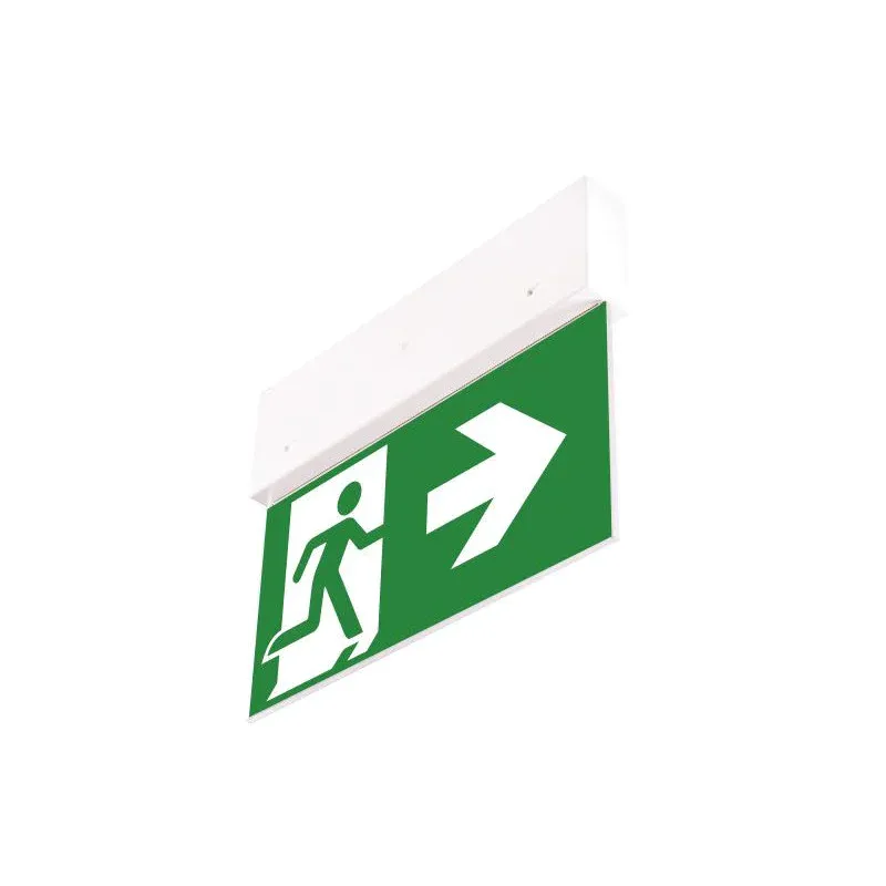 Oprawa Ewakuacyjna Directo S M 1H At + (Vd3, Vd4, Vd5 X 2) / 90381 Szybka dostawa