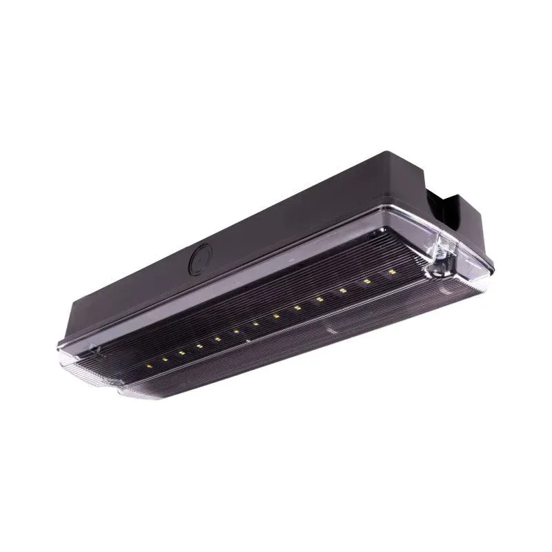 Bestseller Oprawa Ewakuacyjna/Awaryjna Orion Ii 250 Nm 1H Mt Lt Ip65 + (Or7, Or8) / Wersja Lt (Układ Grzejny Z Termostatem) / 91798