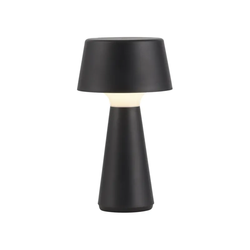 Lampa stołowa ABERA 19260-18 - Paul Neuhaus Wybór klientów