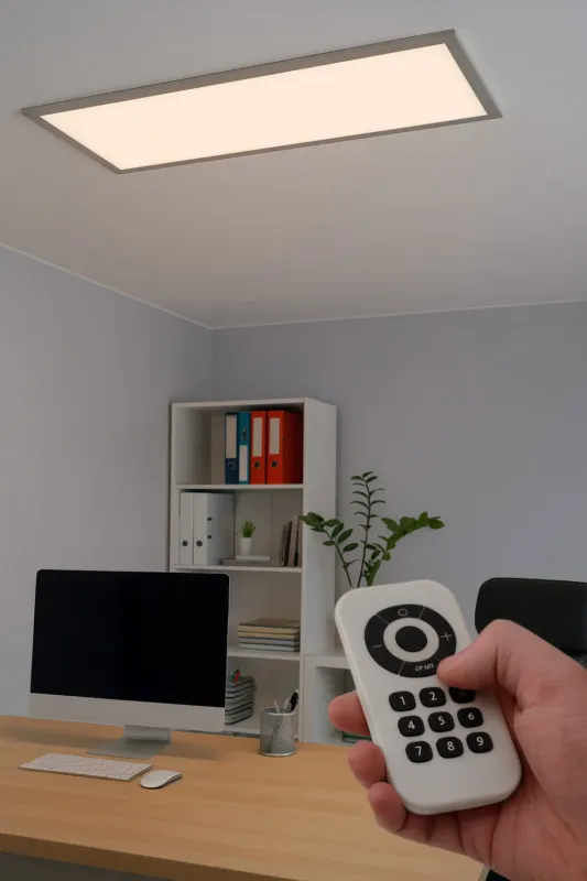 Ekspresowa dostawa Nowoczesny Panel LED na pilota DIM+CCT 33,5W natynkowy GAMMA R62868087 - RL