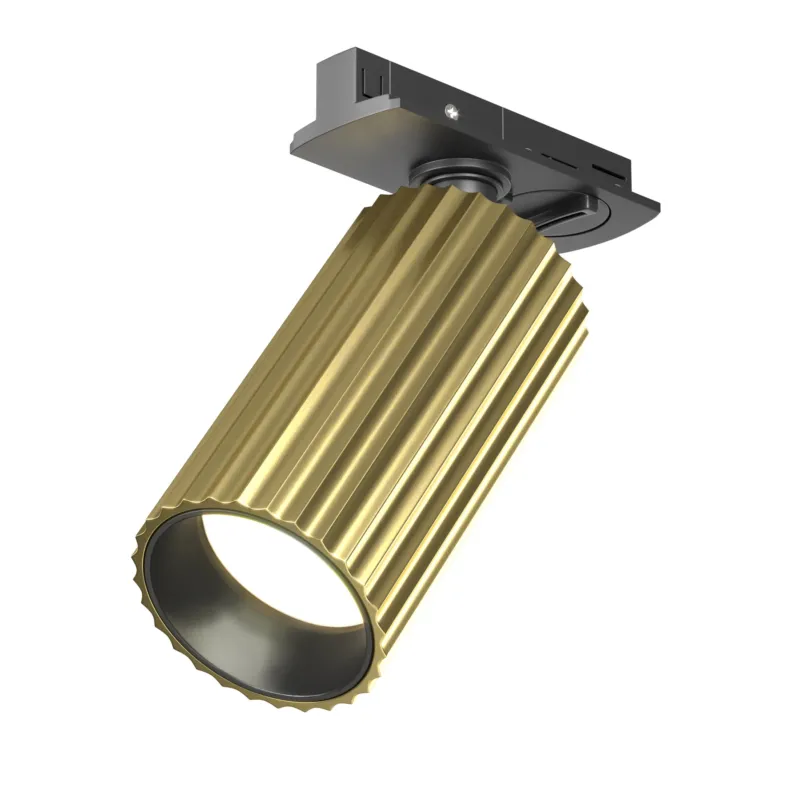 Hit cenowy Lampa do szyn 1F UNITY Calipso TR218-1-GU10-BS - Maytoni