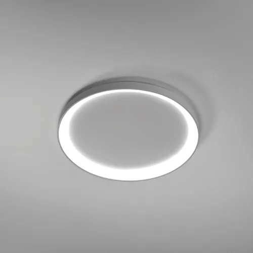W kolorze tytanowym okrągły wklęsły ledowy plafon sufitowy ściemnialny Vivida International 0098.21.TI DIM WN Lifering-R LED 60W 3000K-4000K 58cm Oferta czasowa