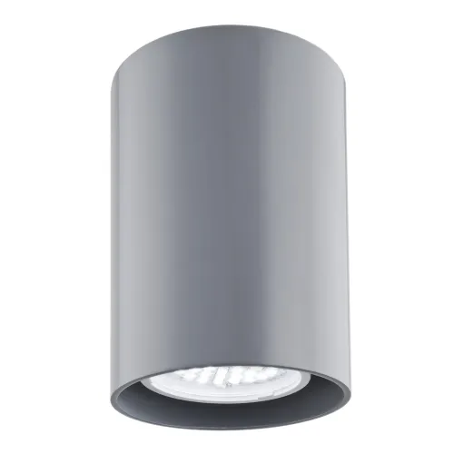 Zamów dziś Lampa sufitowa punktowa spot Argon 3120 Tyber GU10 11cm x 7cm szary